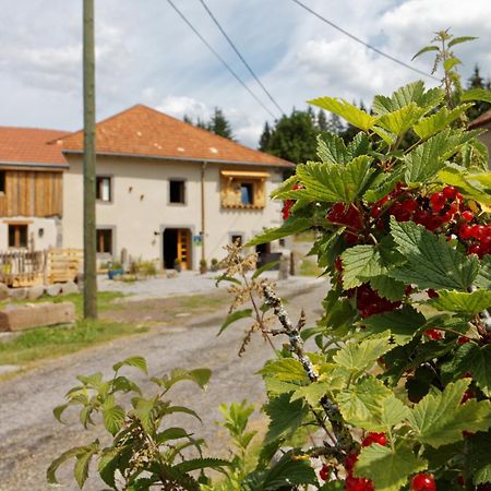 La Ferme De Jean Entre Lacs Et Montagnes Saulxures-sur-Moselotte Kültér fotó