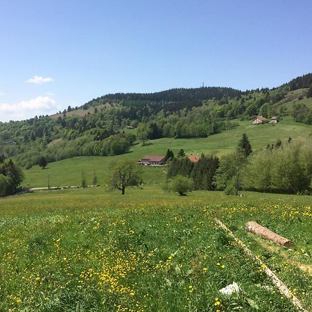 La Ferme De Jean Entre Lacs Et Montagnes Saulxures-sur-Moselotte Kültér fotó