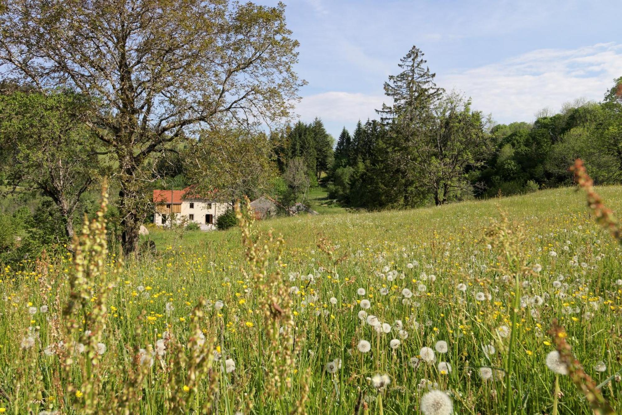 La Ferme De Jean Entre Lacs Et Montagnes Saulxures-sur-Moselotte Kültér fotó