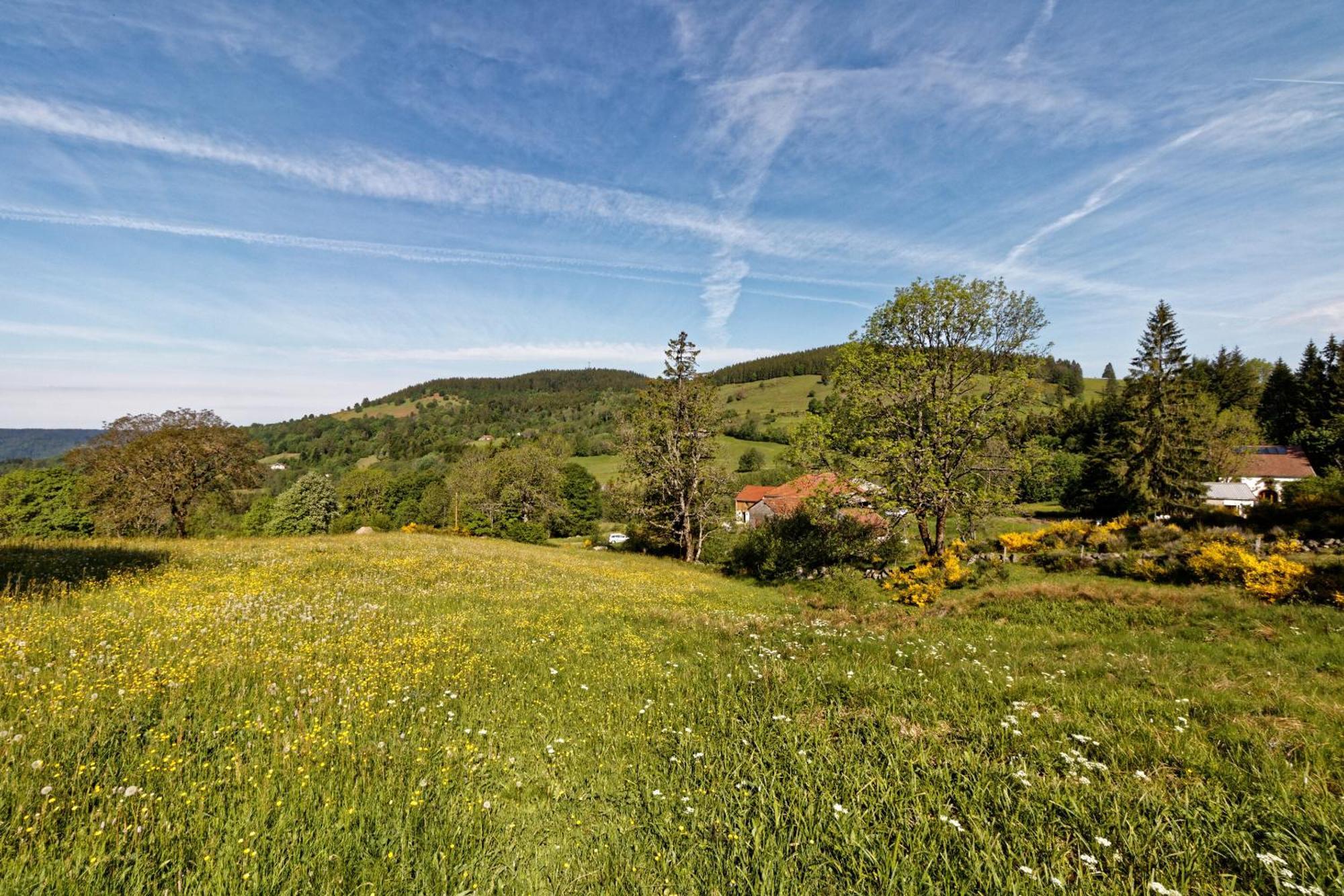 La Ferme De Jean Entre Lacs Et Montagnes Saulxures-sur-Moselotte Kültér fotó