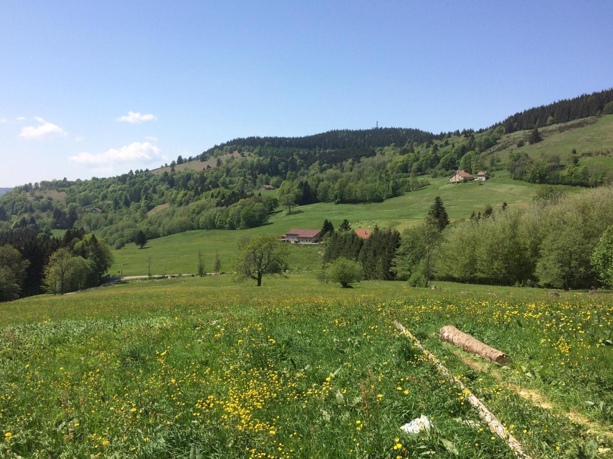 La Ferme De Jean Entre Lacs Et Montagnes Saulxures-sur-Moselotte Kültér fotó