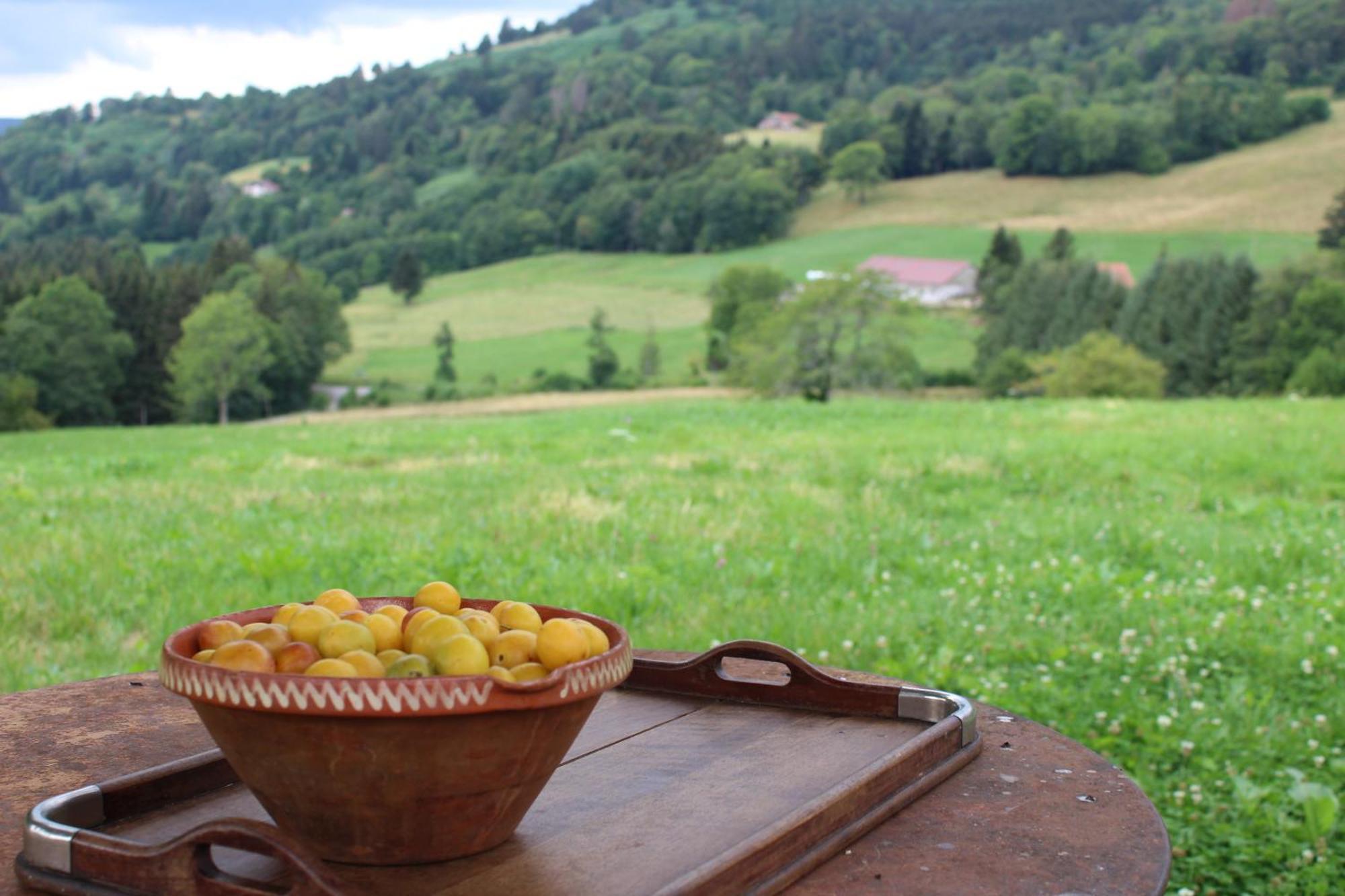 La Ferme De Jean Entre Lacs Et Montagnes Saulxures-sur-Moselotte Kültér fotó